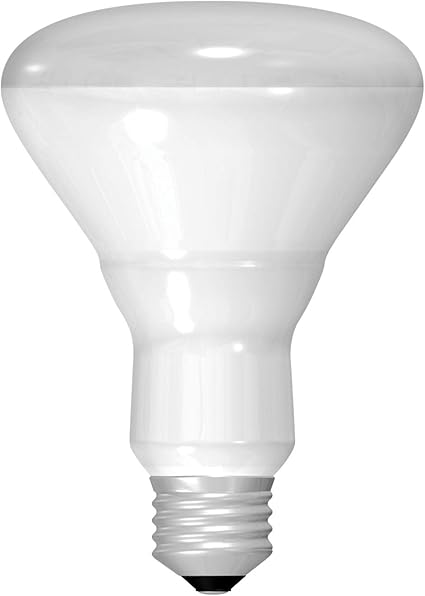 GE Lighting 20330 45 Watt BR30 Floodlight Bulb - Soft White — main product image