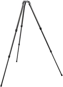 Gitzo GT2532S Series 2 Carbon Fiber Tripod