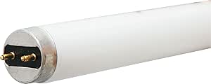 GE Lighting 42556 32-Watt T8 Light Bulbs 36-Pack — main product image