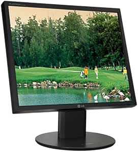 LG L1951S-BN Flatron 19" LCD Monitor (Black)