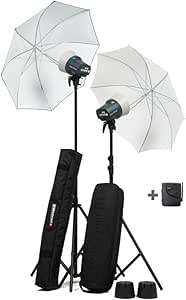 Elinchrom EL20844.2 D-Lite RX One Flash Head Kit