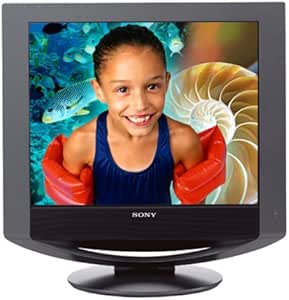 Sony SDM-HX93/B 19-Inch LCD Monitor Black — main product image