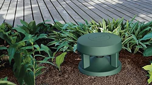 Bose 40151 FreeSpace 360-P II In-Ground Outdoor Loudspeaker