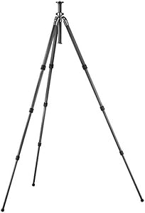 Gitzo FBA_GT2540LLVL Series 2 Leveling Tripod — main product image