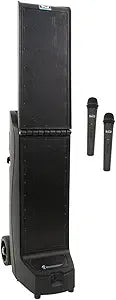 Anchor Audio Bigfoot Line Array Dual Wireless Microphone Package
