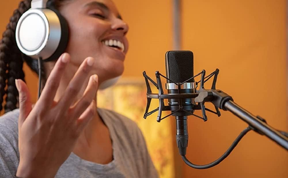 Neumann TLM 102 BK Studio Set Cardioid Condenser Microphone