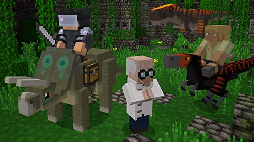 Sony 9343806 Minecraft Bedrock PS4 Game