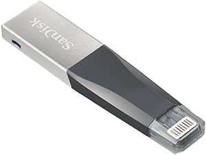 SanDisk SDIX40N-064G-GN6NN 64GB iXpand Mini iPhone Flash Drive