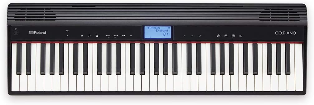 Roland GO-61P GO:PIANO 61-key Portable Keyboard