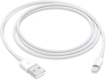 Apple Lightning to USB Cable (1 Meter)