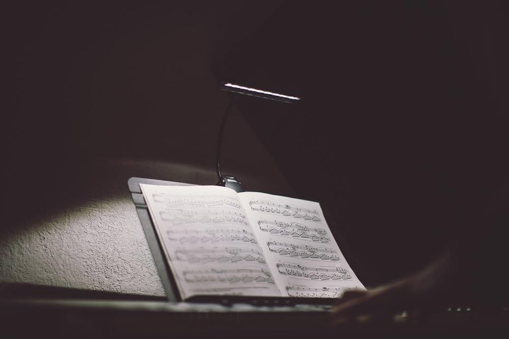 Mighty Bright 53510 LED Orchestra Light with US Adapter