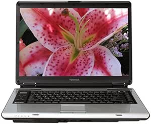 Toshiba A135-S4427 Satellite 15.4
