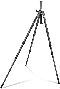 Gitzo GT2531LVL Tripod Series 2 Carbon Fiber