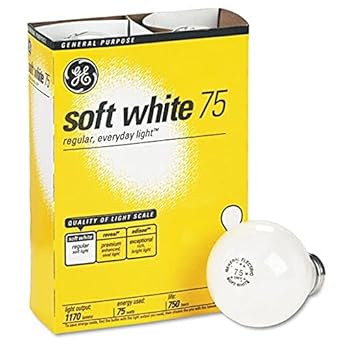 GE 41032 75-Watt Soft White Globe Bulbs (4-Pack)