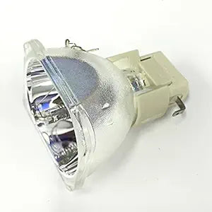InFocus LYSB00C74PDE0 IN1100 Projector Replacement Bulb — main product image