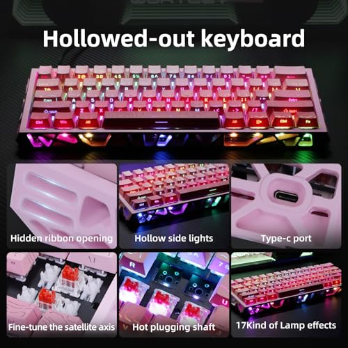 Ladybug Hot-Swappable 60% Mechanical Gaming Keyboard — main product image