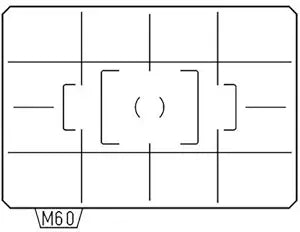 Pentax 38579 ML60 Screen Protector Frosted Squares