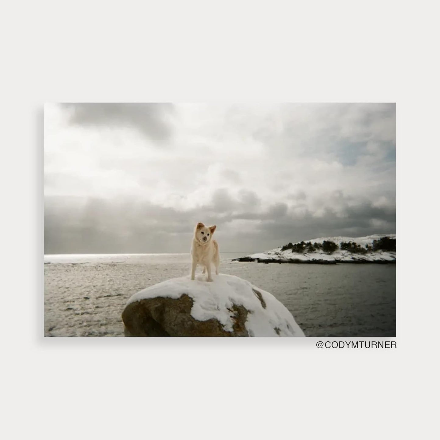 Fujifilm FUJIQSFLASH QuickSnap Flash 400 Disposable Camera 10-Pack