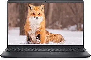 Dell Inspiron 15 3000 - 15.6