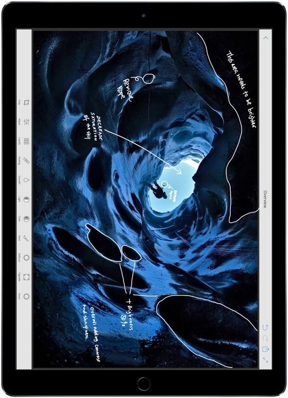 Apple iPad Pro 12.9-inch 256GB WiFi Space Gray (Renewed)