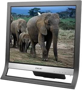 Sony SDM-HS75/B 17" LCD Monitor - Black - VGA, DVI