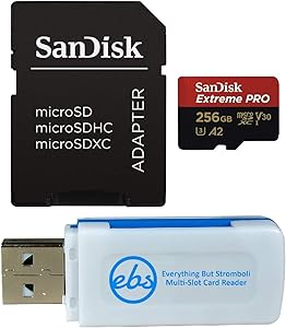 SanDisk 256GB MicroSD Extreme Pro DJI Osmo — main product image