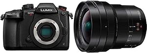 Panasonic LUMIX GH5s C4K Mirrorless Camera with 8-18mm Lens — main product image