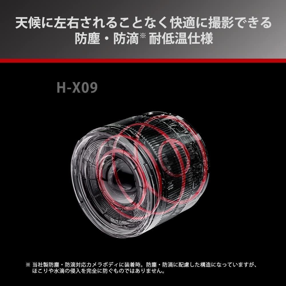 Panasonic H-X09 Wide Angle Lens for LUMIX DSLR