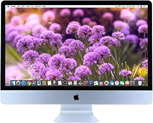 Apple MNDY2LL/A 2017 iMac 21.5" i5 - 16GB 1TB HDD (Renewed)