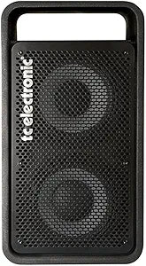 TC Electronic 991000005 RS210c Bass Amplifier Cabinet