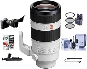 Sony 100-400mm FE f/4.5-5.6 GM OSS Telephoto Zoom Lens