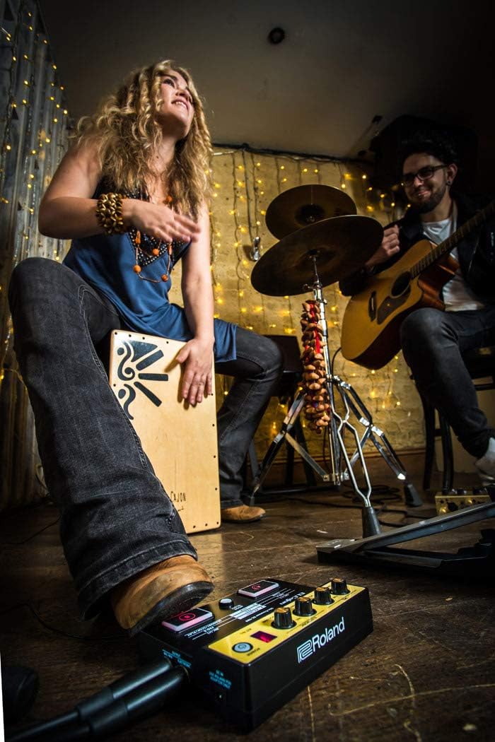 Roland EC-10M ELCajon Mic Processor - Black