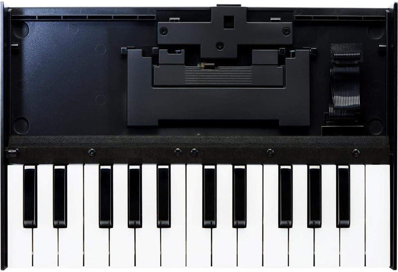 Roland K-25M Boutique Module Dock USB MIDI Keyboard — main product image