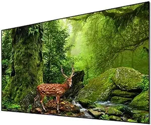 Hisense LTS120AFA 120" ALR Laser TV Screen