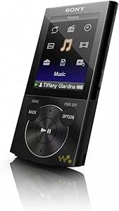 Sony Walkman NWZE345BLK 16GB Video MP3 Player