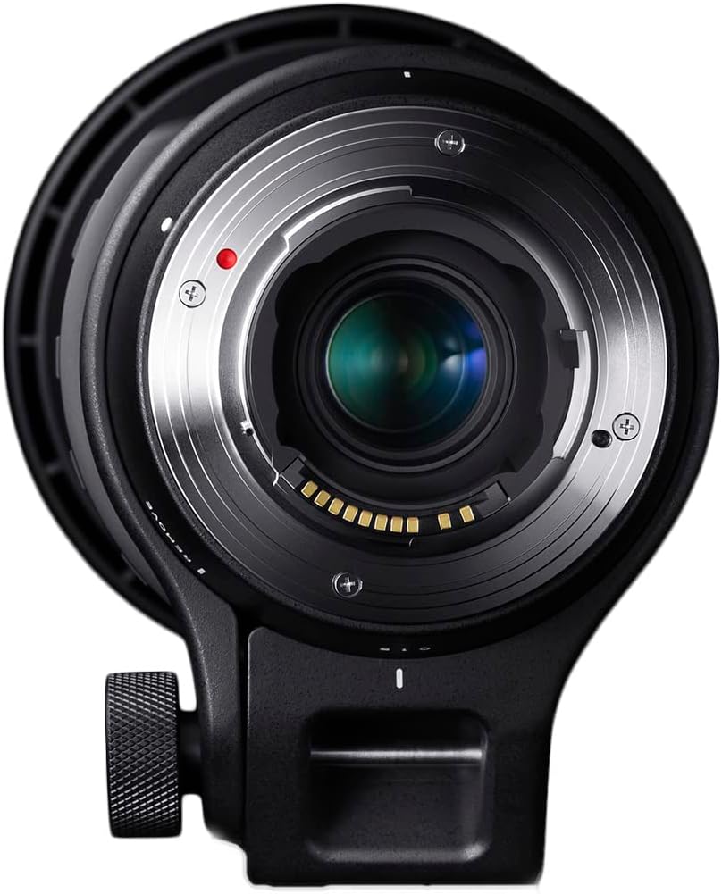 Sigma 745955 150-600mm f/5-6.3 DG OS HSM - Nikon