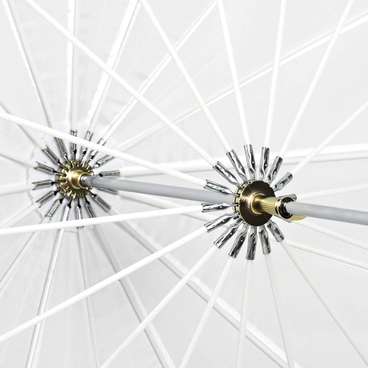 Profoto 100979 Deep Translucent Umbrella (Large, 51-Inch)