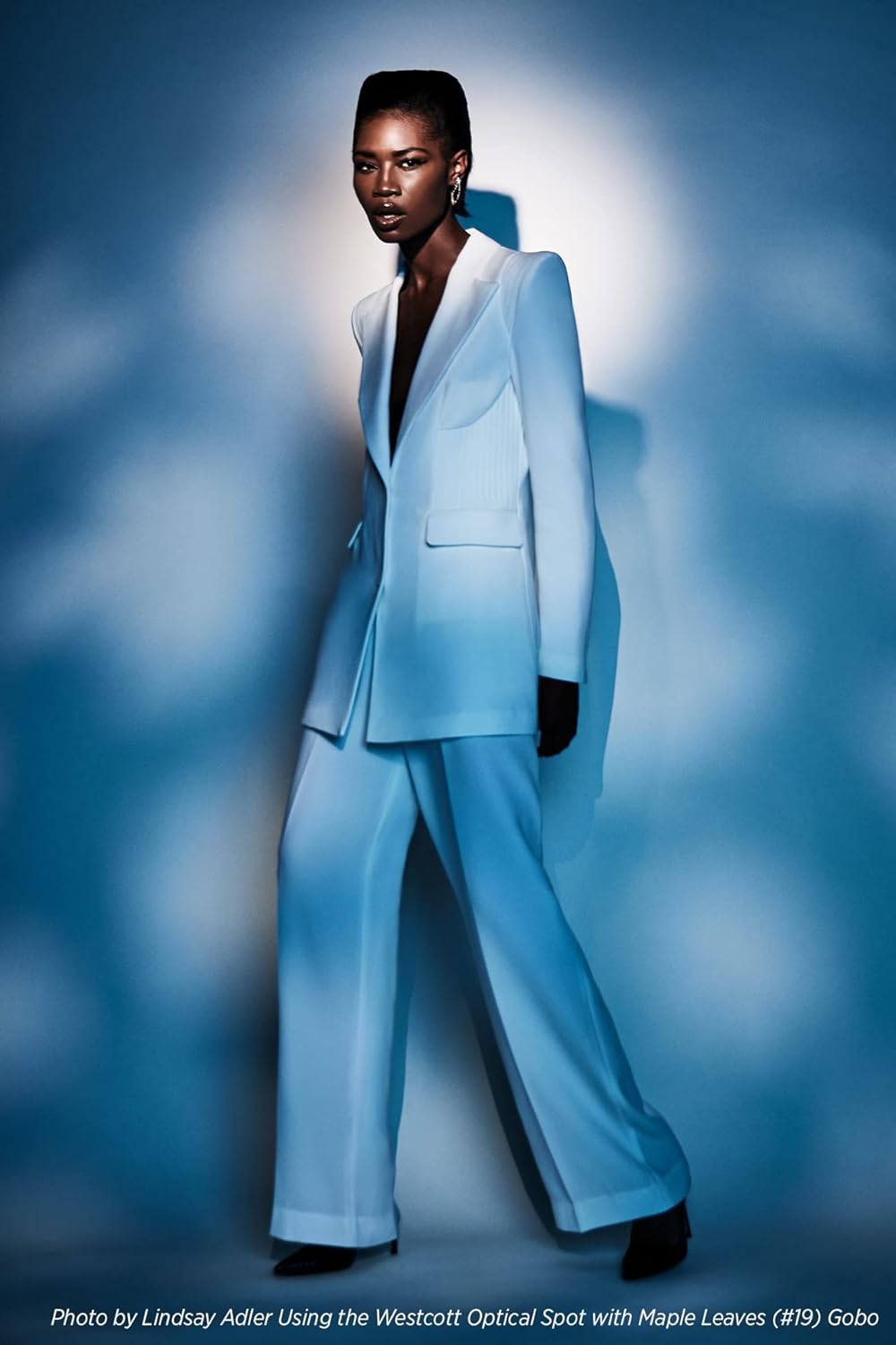 Westcott 4764 GOBO Environmental Designs 10-Pack