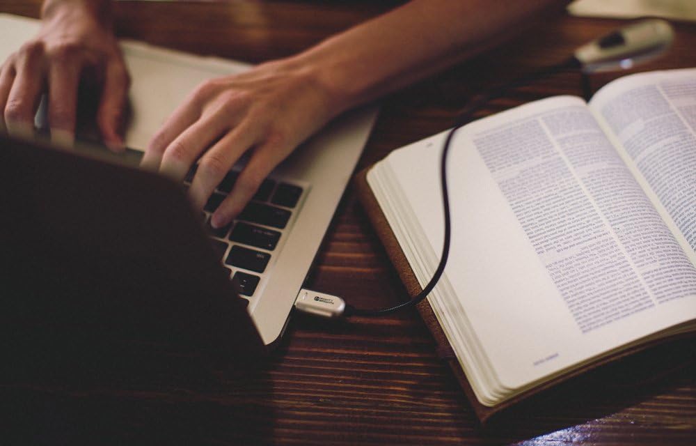 Mighty Bright 84312 2-LED USB Laptop Light, Silver