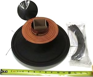 RCF R12P300 Watt Live Sound Monitor