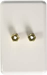 Monoprice 103639 Banana Binding Post Single Speaker Wall Plate