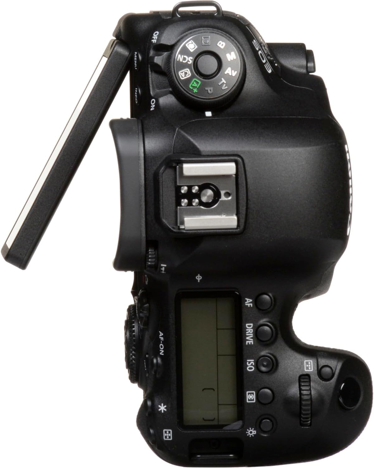 Canon EOS 6D Mark II DSLR Lens Bundle (Renewed)