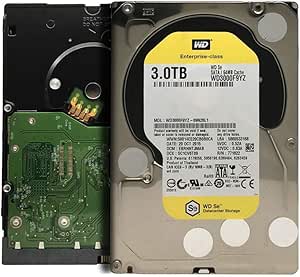 Western Digital WD3000F9YZ 3TB Enterprise HDD (Renewed)