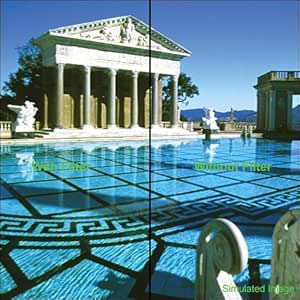 Nikon 2430 A-2 62mm Screw-in 81A Filter