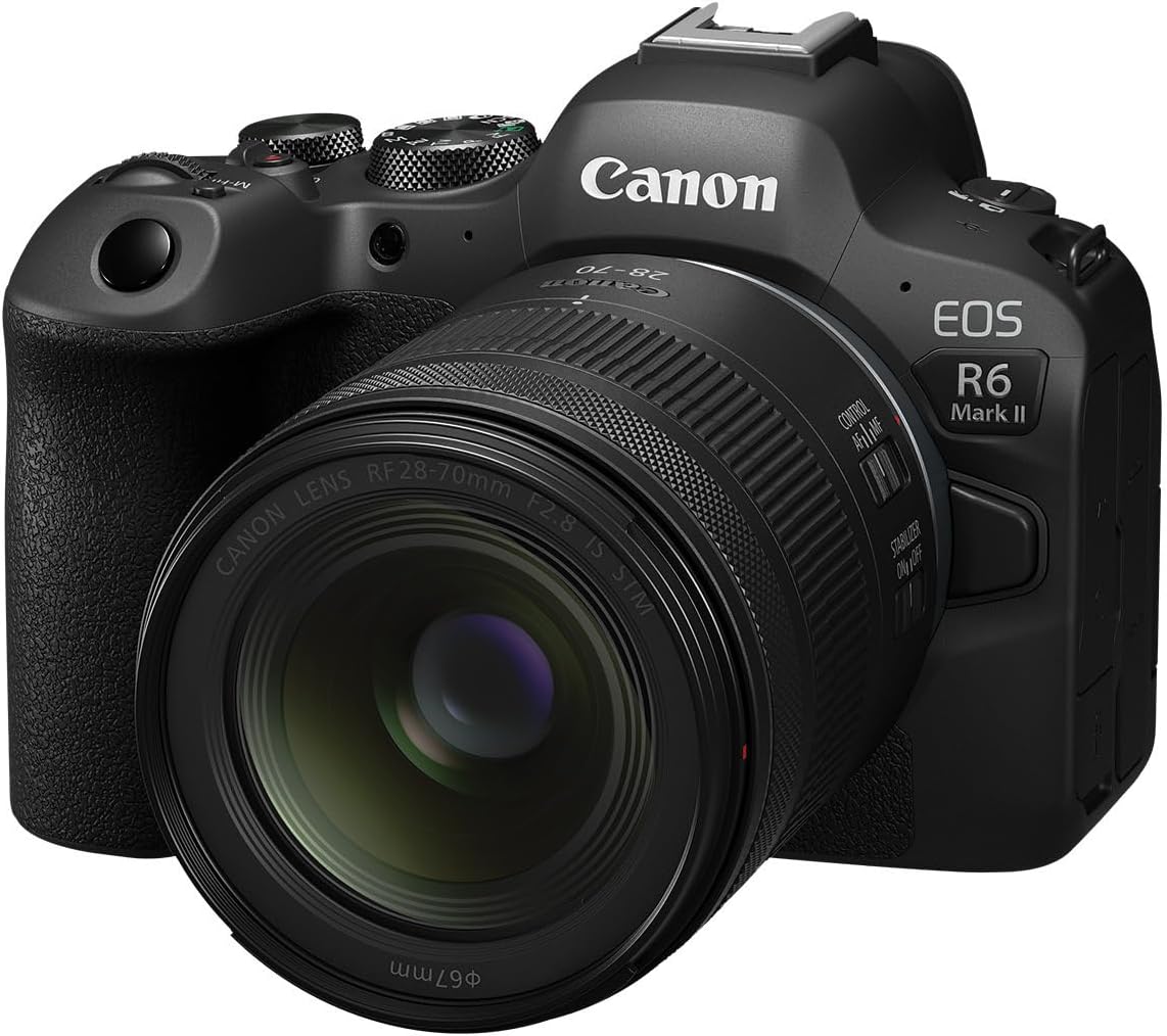 Canon 6535C002 RF28-70mm F2.8 STM Zoom Lens