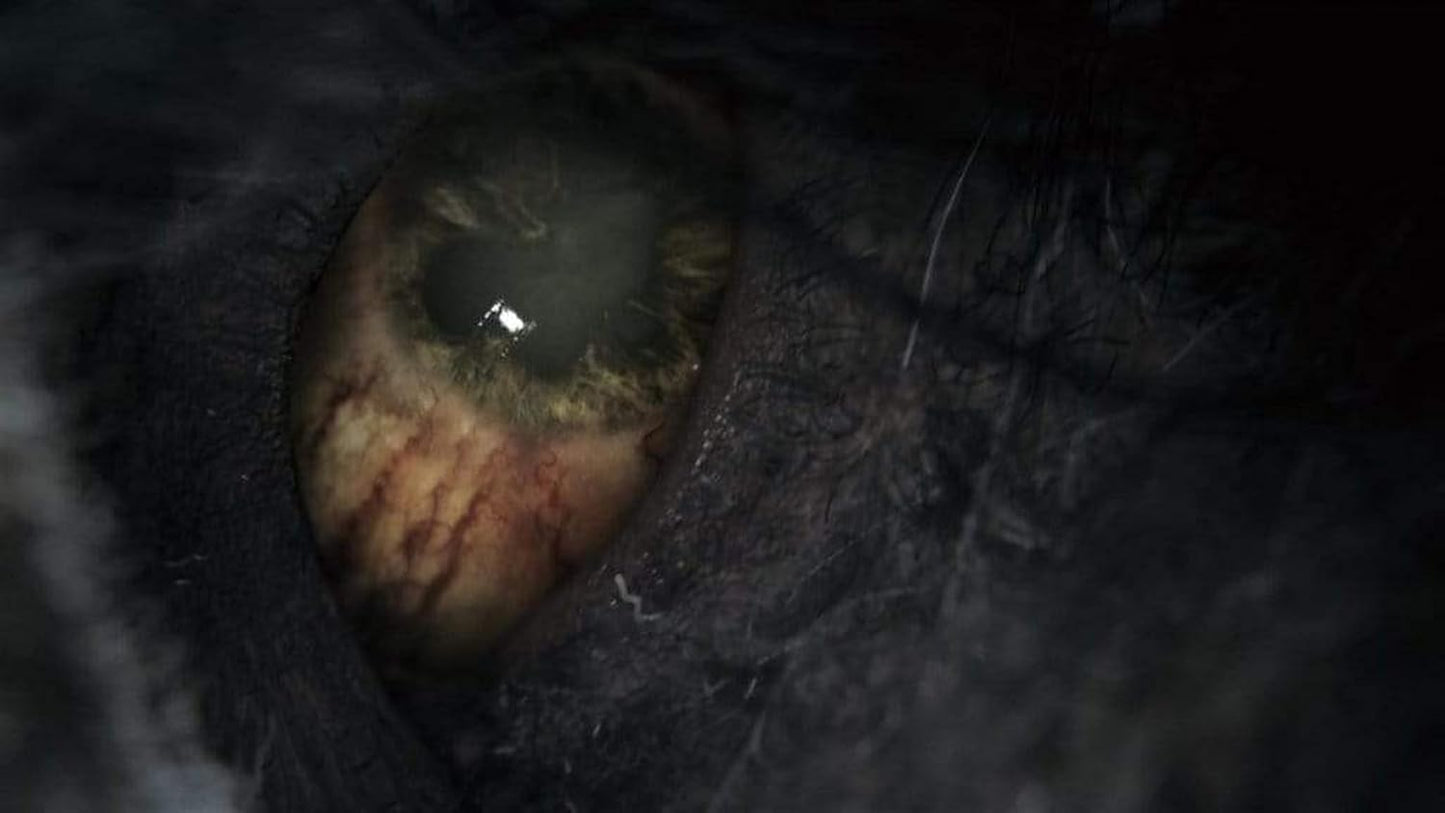 Sony 179746 Bloodborne PS4 Game of The Year