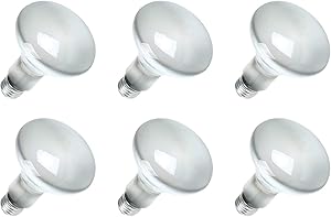 Sylvania 65BR30/FL Flood Lamp Bulbs - 6 Pack, 65-Watt