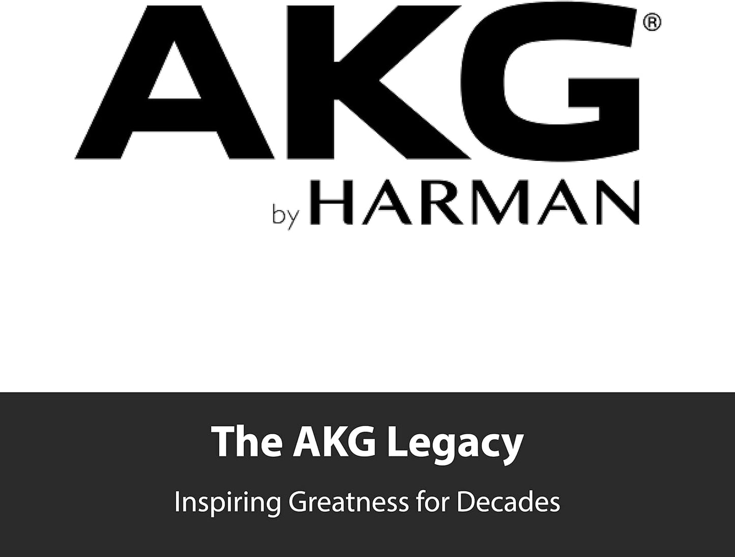 AKG 3100H00120 Perception P5 Vocal Microphone