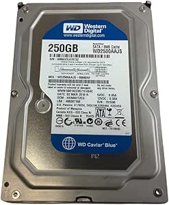 Western Digital WD2500AAJS-00M0A0 250GB SATA HDD (Recertified)
