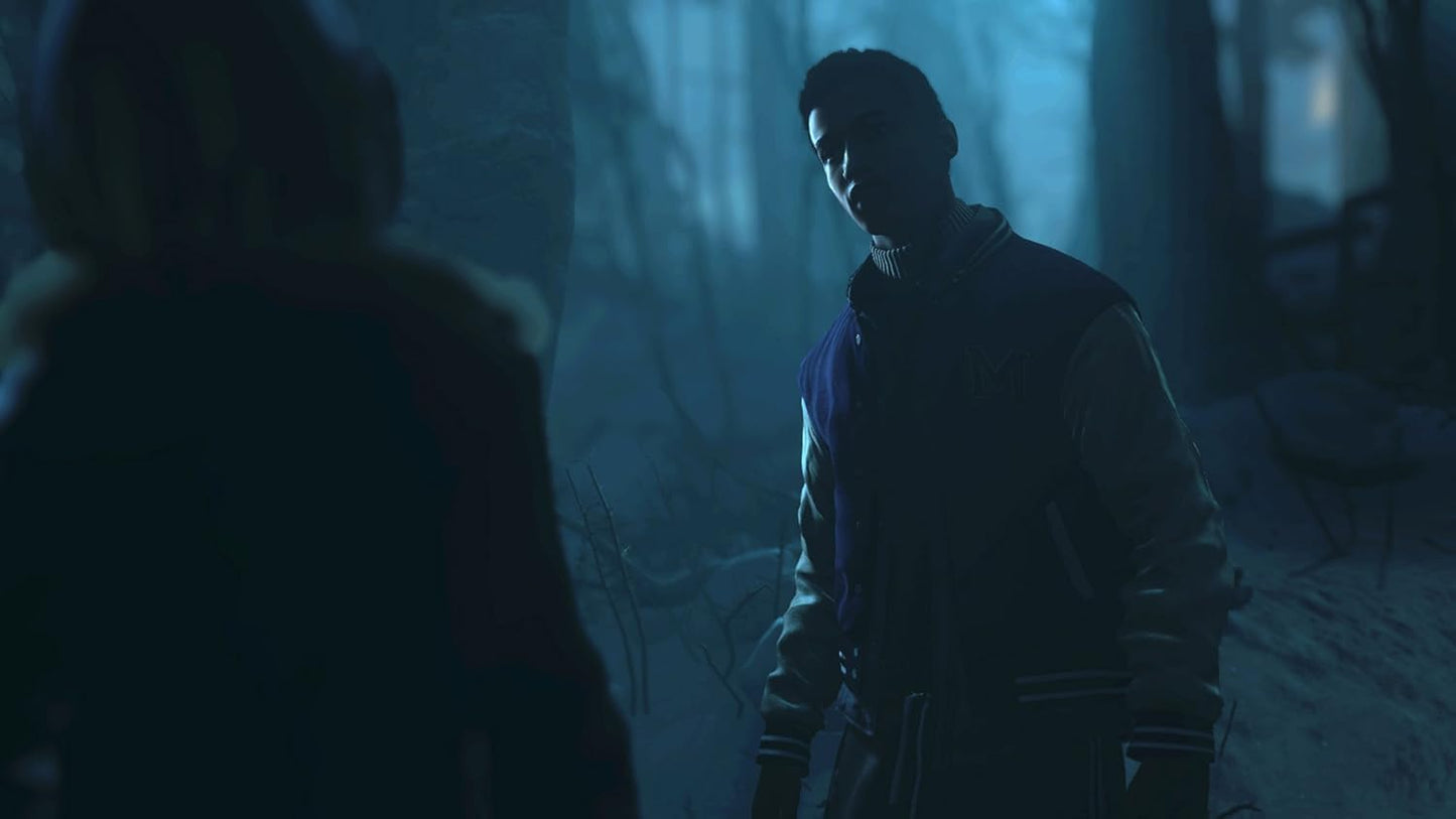 Sony 9815136 Until Dawn PS4 Horror Game